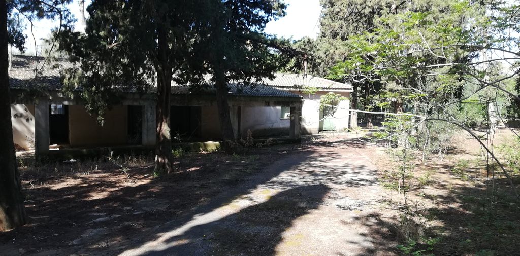 Colonia Comunale