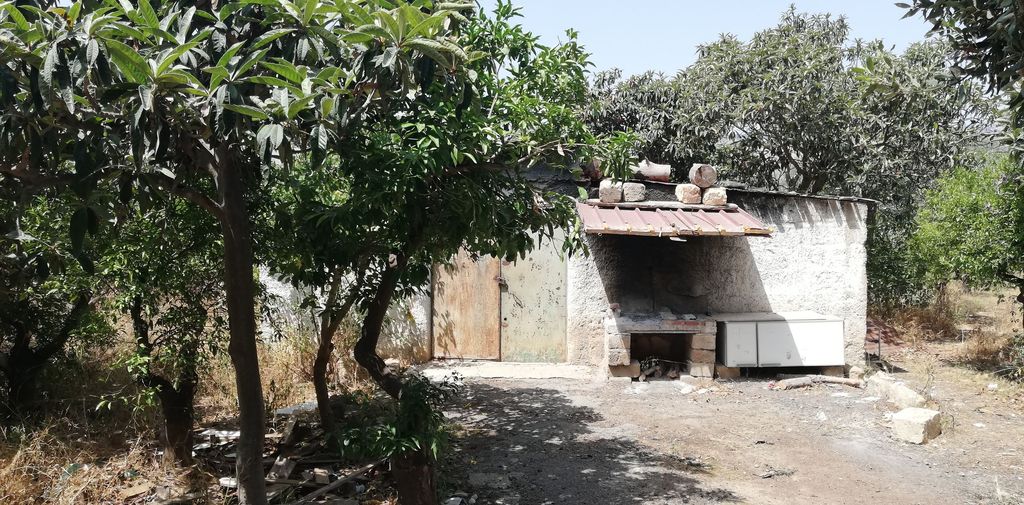 Colonia Comunale