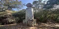 Vaso monumentale